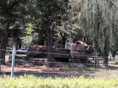 -石家庄市动物园