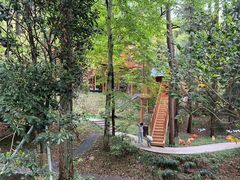 -东明山森林公园