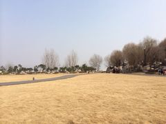 iphone_upload_pic-中国唐苑