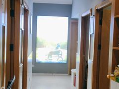 -关爱宠物医院·猫科中心·消化科(滨湖万达分院)