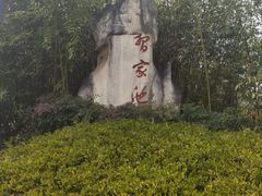 -习家池