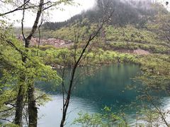 -九寨沟-树正沟