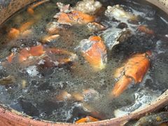 -老财炒饭·熟地蟹·冬瓜蟹