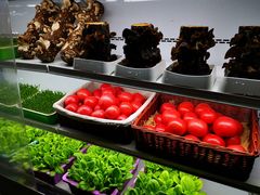 -番食园鲜食火锅(高新店)
