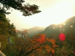 -牛背梁国家森林公园