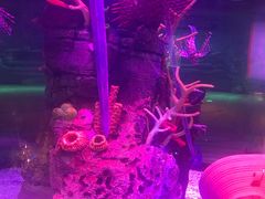 -沈阳海洋探索中心