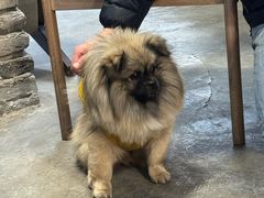 -铁炉咖啡(河下古镇店)