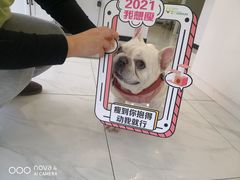 -艾吉宠物医院·疑难杂症转诊中心·猫友好(碧江路院)