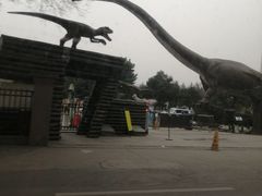 -陕西自然博物馆