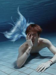 -玛奇朵婚纱摄影