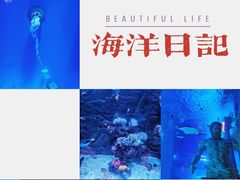 -正佳极地海洋世界