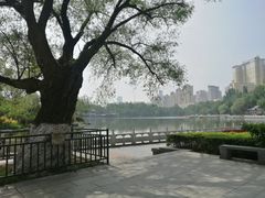 -西宁市人民公园(城西区)