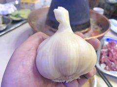 -月圆火锅(宁海东路二店)