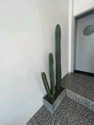 -D.G造型·烫发染发接发