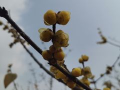 -塔子山公园
