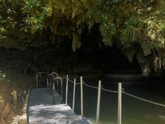 -怀托摩萤火虫洞