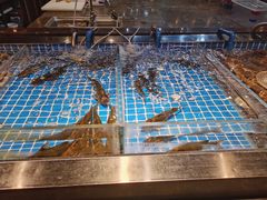 -韩京炭火烤肉自助料理(柯桥万达店)