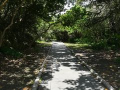 -鹅銮鼻公园
