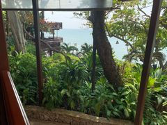 -卷心菜和避孕套餐厅(Pattaya)