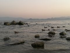 -深圳湾公园(南山区)