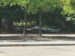 -胜华驾校·小猫学车(银都店)