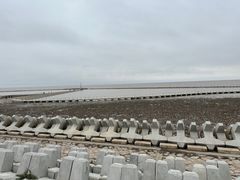 -南汇嘴观海公园