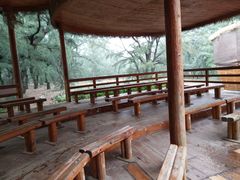 -北海金海湾红树林生态旅游区