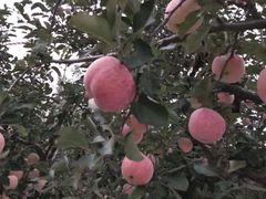 -大泽山风景名胜区