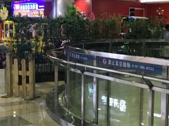 -鹏欣水游城
