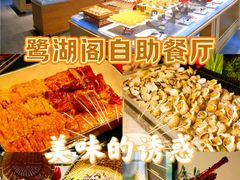 -美的鹭湖森林度假区