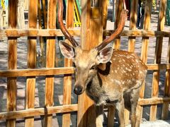 -水上乐园·欢乐世界