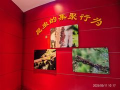 -上海昆虫博物馆