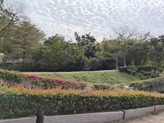 -广东金融学院(校本部)