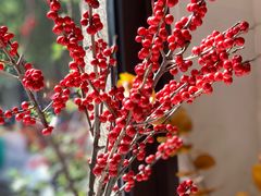 -王尔德与花