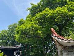 -中国观音故里广德景区