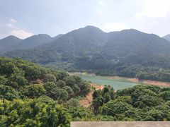 -银瓶嘴森林公园