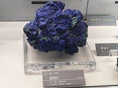 -中国地质博物馆