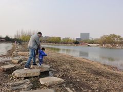 -大兴滨河森林公园