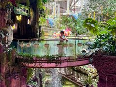 -正佳雨林生态植物园