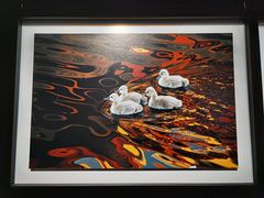 -罗红摄影艺术馆