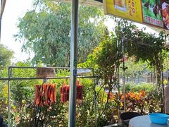 -竹语饭香·原生态农庄·烧鸡·竹筒饭·河鲜(森林海白水寨店)