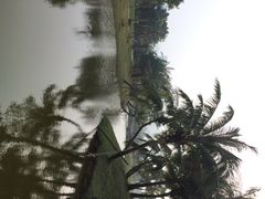 iphone_upload_pic-白沙门生态公园