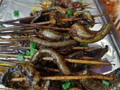 鳝鱼-晓靖轩烧烤(沙河风情店)