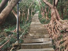 -小南山公园