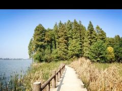 -东湖落雁景区