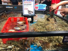 -盒马鲜生(曜一城店)