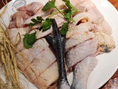 -千岛蚝高压锅生蚝·人参火锅(白云万达店)