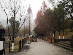-沐仙湖湿地公园
