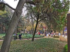 -八大关景区