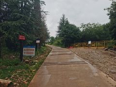 -长虫山生态公园风景林